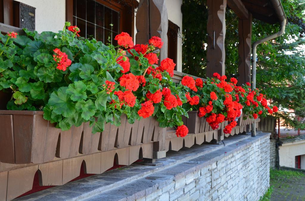 Bed and Breakfast Garni Sayonara St. Vigil Exterior foto